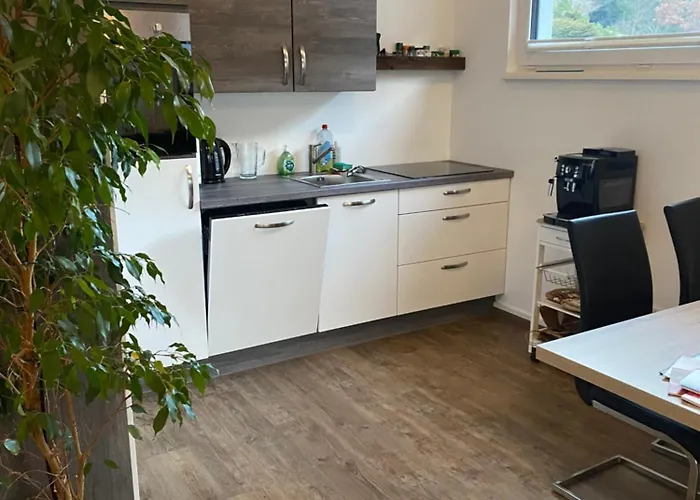 Lungaublick * טאמסווג